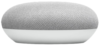Google Nest Mini
